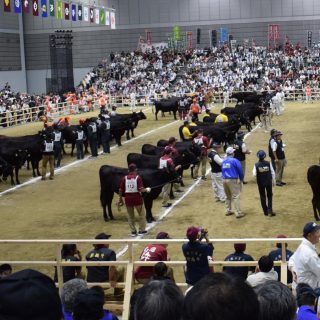 Олимпийские игры Вагю