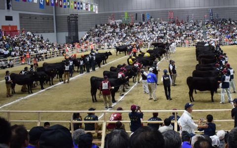 Олимпийские игры Вагю