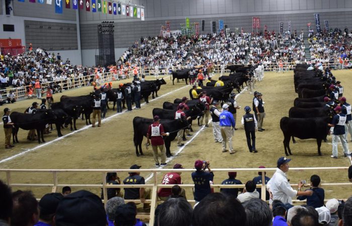 Олимпийские игры Вагю