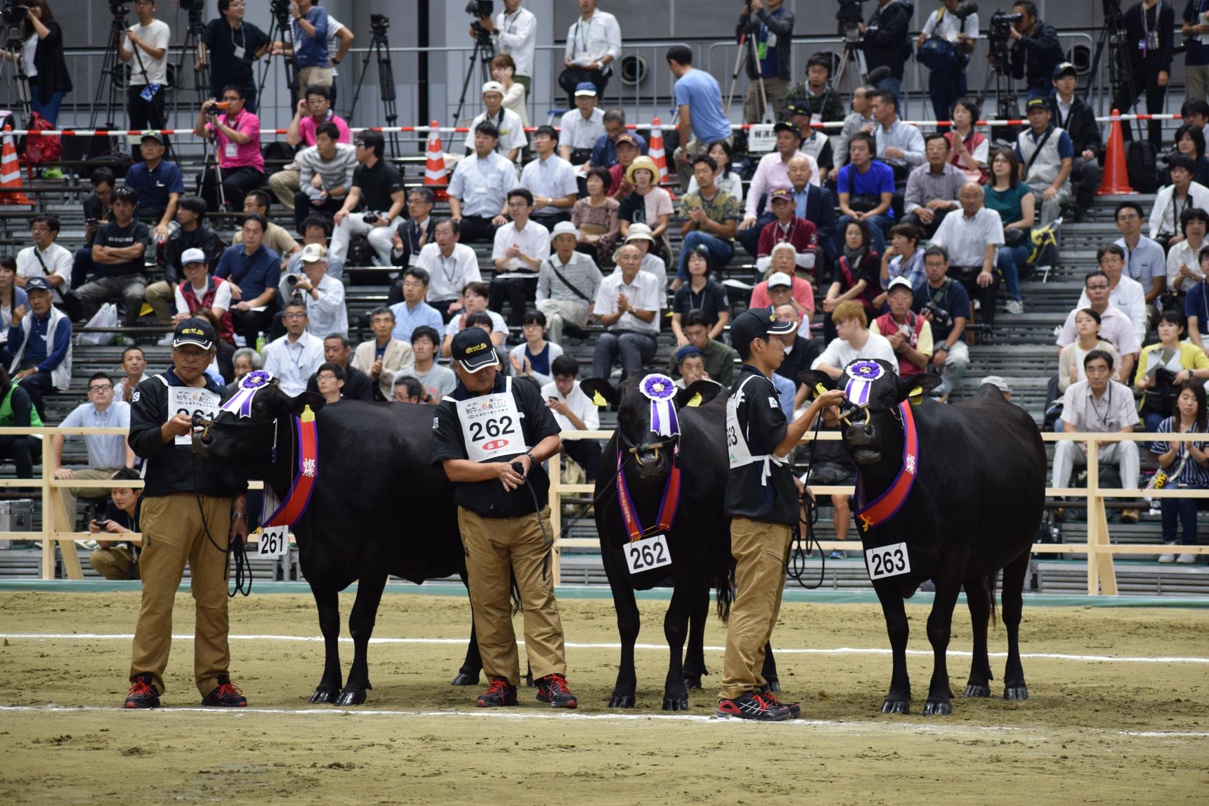 Олимпийские игры Вагю