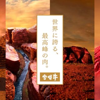 миядзаки вагю