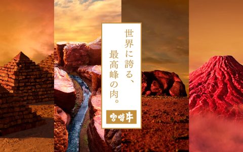 миядзаки вагю